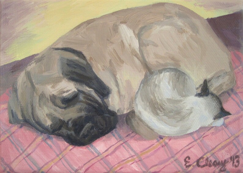 Tomt kort med katt och hund som gosar, rosa, gul, katt och hund som gosar, rosa rutig, mastiff, bullmastiff, gammal engelsk mastiff, katt, hund bild 3