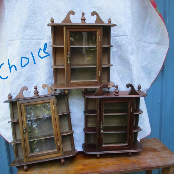 Curio Cabinet Knick Knack Glass Door Hangs Vintage CHOICE