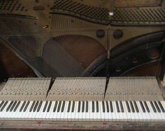 Piano Keys Vintage CHOICE Different sets