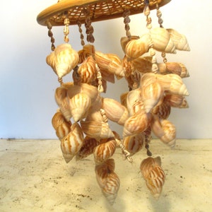 May include: A hanging seashell mobile featuring a woven wooden top and numerous seashells in shades of cream and brown. The seashells are strung together, creating a decorative and natural coastal theme.