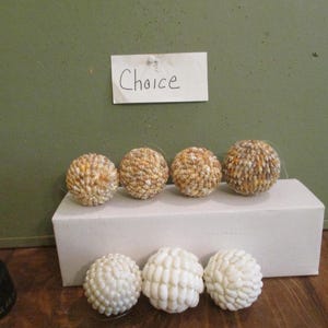 May include: Five small, round, decorative balls made of natural materials. The balls are arranged in a row on a white surface. The balls are a light brown color and have a textured surface. The word "Choice" is written on a white card above the balls.