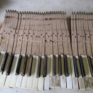 May include: Close-up of a disassembled piano keyboard. The image shows the wooden keys, with black and white keys, and the internal mechanism of the piano. The keys are arranged in rows, with the wooden hammers and other components visible.