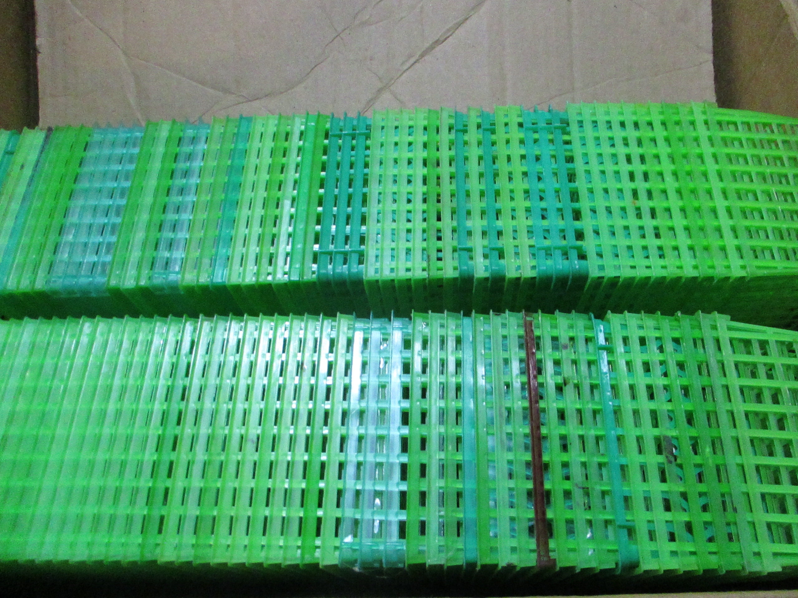 Plastic Berry Box Raspberry, Green Vintage Sets CHOICE - Etsy