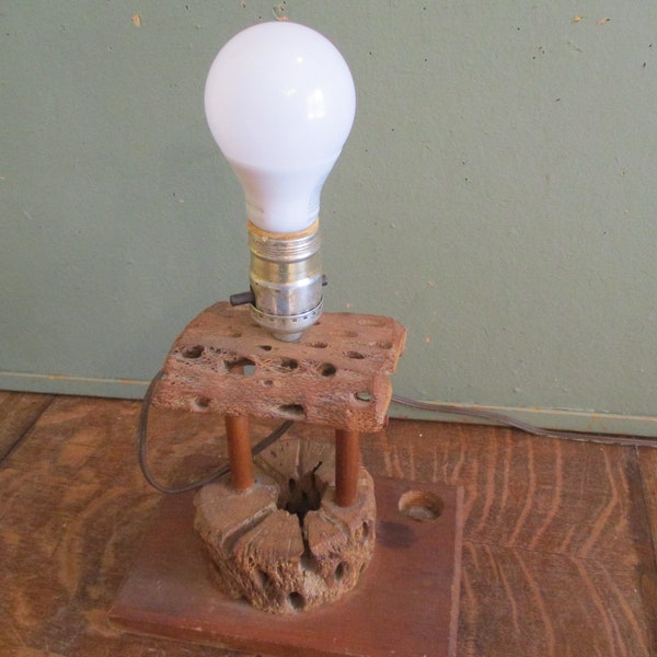 Cholla Cactus Table Lamp Vintage Unique lighting