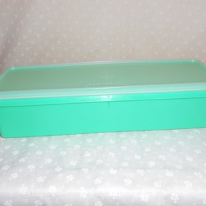 May include: A rectangular, turquoise plastic container with a matching lid. The lid has a lighter green hue and a clear, white rim. The container is designed for food storage and has a simple, functional design. The container is approximately 12 inches long.