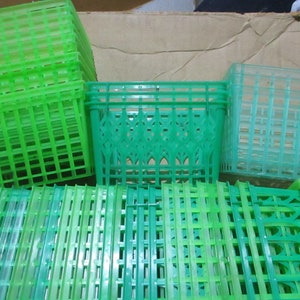 Plastic Berry Box Raspberry, green vintage sets CHOICE