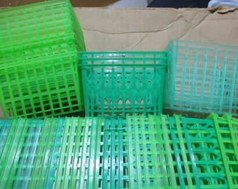 Plastic Berry Box Raspberry, green vintage sets CHOICE
