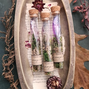 May include: Three glass vials with cork stoppers, each containing a fairy wing, moss, and dried foliage. The vials are arranged on a decorative silver tray with a handle. The text on the label reads "MENAGERE faery wa".