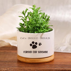 Personalized Pet Memorial Succulent Planter: Loss of Dog/Cat Gift