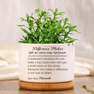 Può includere: Un vaso di ceramica bianco con la scritta "Difference Maker" e una definizione, riempito di piante artificiali verdi. Il vaso poggia su un sottobicchiere rotondo in legno marrone chiaro. È visibile anche la scritta "See Also: Hannah".