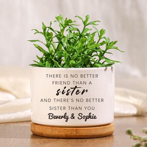 Best friend flower pot sister succulent gift|Sister Birthday Gift Personalized Planter|Custom Plant Pot Succulent Gift gift for sister
