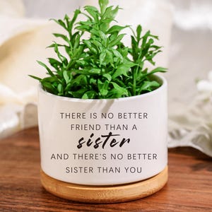 Personalized Sister Flower Pot: Engraved Ceramic Succulent Planter