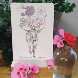 Carte illustrée au feutre fin & Tataki Zomé / Carte vache / Carte vache Aubrac / Vache / Carte impression végétale
