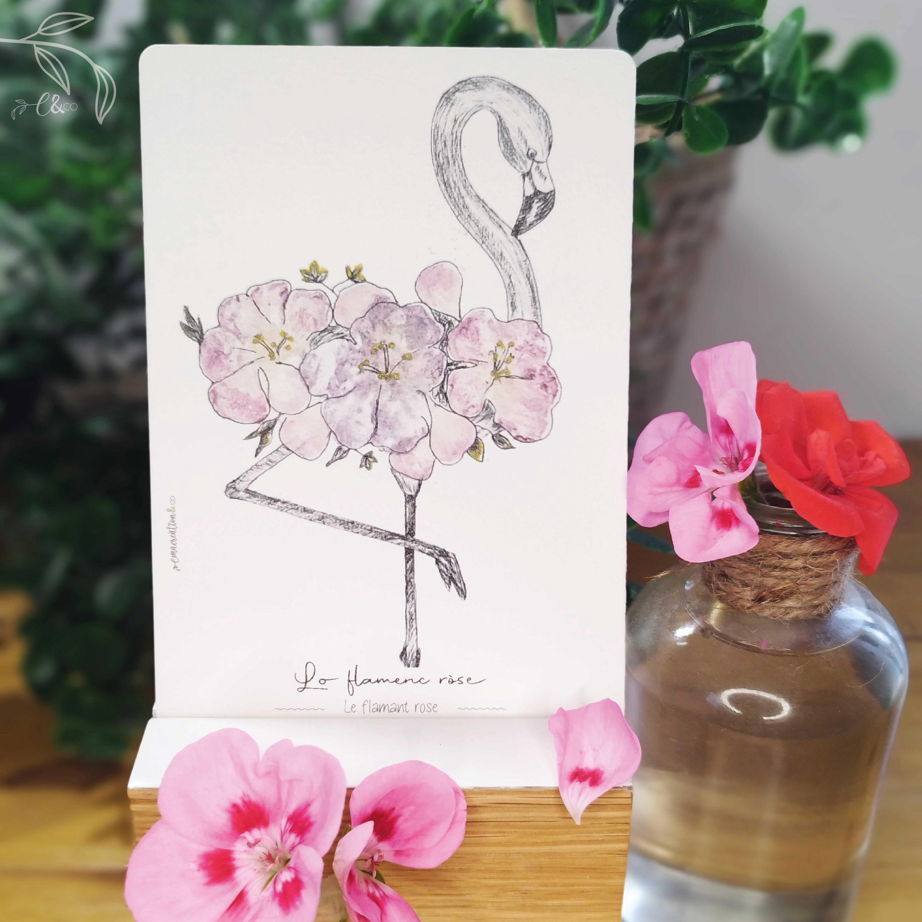 Zome Tataki Australia