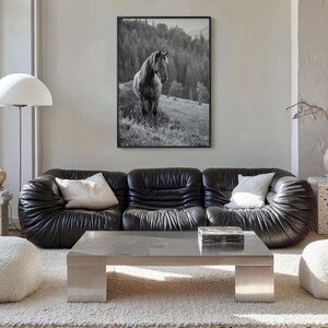 Horse Black and White Fine Art Photo Print, Carpathian Mountains, Fog, Equine Wall Decor image 14
