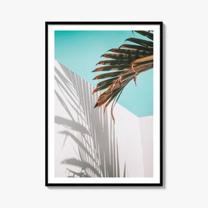 Palm Tree Shadow Fine Art Photo Print, White Wall, Turquoise Sky Poster