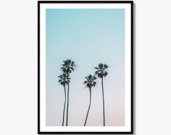 Palm Trees Fine Art Photo Print, Heisler Park Laguna Beach, California Palms