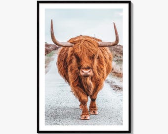 Impresión fotográfica artística de vaca de las Tierras Altas de Escocia, Isla de Skye