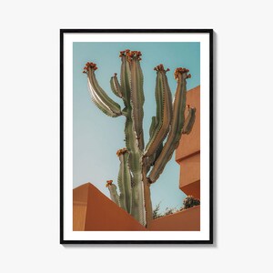 Blühender Kaktus Druck | Fine Art Farbe Fotografie Poster für Sandige Wände Dekor, Wüsten-Kunst, botanische Wandkunst