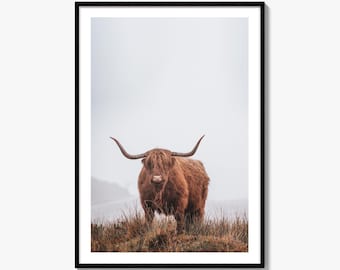 Impresión fotográfica artística de vaca de las Tierras Altas de Escocia, Isla de Skye, Escocia, decoración de pared