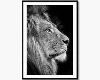 Lion Black and White Fine Art Photo Print, Safari Wildlife Wall Decor