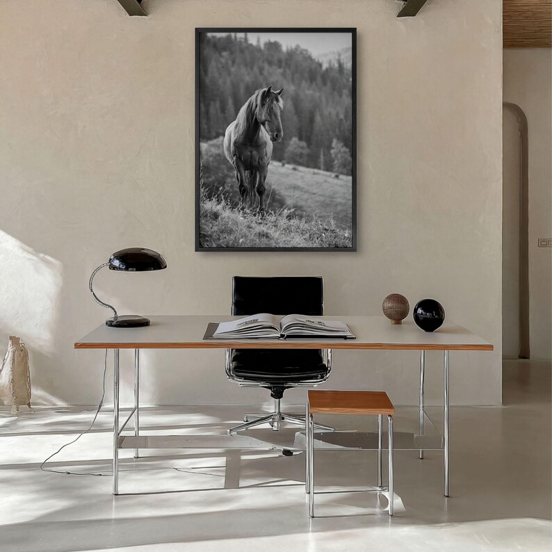 Horse Black and White Fine Art Photo Print, Carpathian Mountains, Fog, Equine Wall Decor image 11
