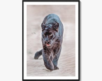 Black Panther Fine Art Photo Print, Leopard Portrait Poster, Big Cat Wildlife Wall Decor