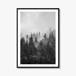 Nebliger Kiefernwald Schwarzweiß Fine Art Fotodruck, Berglandschaft Wanddekoration