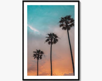 Palm Trees Fine Art Photo Print, Windansea Beach, La Jolla California USA, Wall Decor
