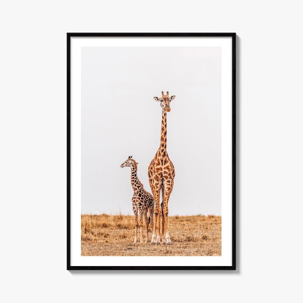 Giraffe Mother and Calf Fine Art Photo Print, Maasai Mara Kenya, African Savannah