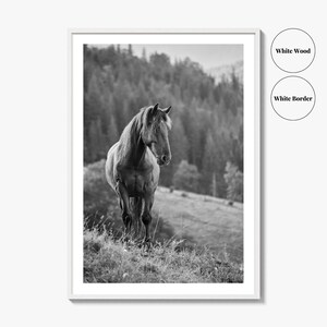 Horse Black and White Fine Art Photo Print, Carpathian Mountains, Fog, Equine Wall Decor image 8