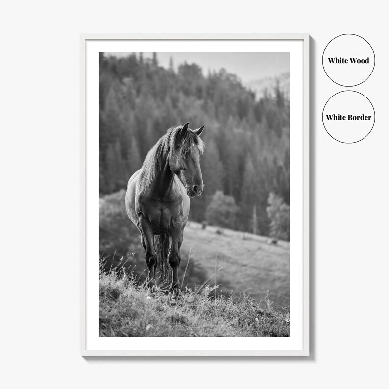Horse Black and White Fine Art Photo Print, Carpathian Mountains, Fog, Equine Wall Decor image 8