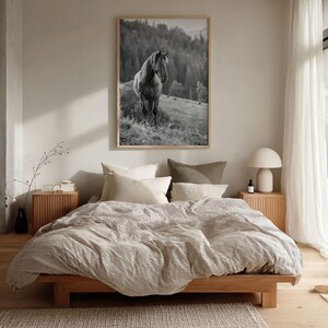 Horse Black and White Fine Art Photo Print, Carpathian Mountains, Fog, Equine Wall Decor image 12