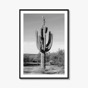 Kaktus Print - Fine Art Schwarz-Weiß Fotografie Poster für Wohnkultur, Wandkunst, Naturdekoration, Geschenkidee