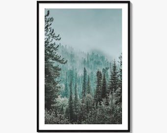 Misty Evergreen Forest Fine Art Photo Print, Nature Photography, Valley View, Mountain Range