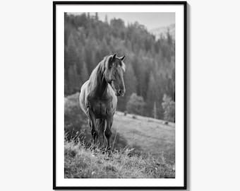 Horse Black and White Fine Art Photo Print, Carpathian Mountains, Fog, Equine Wall Decor