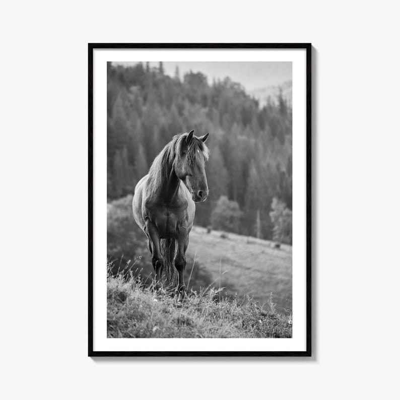 Horse Black and White Fine Art Photo Print, Carpathian Mountains, Fog, Equine Wall Decor image 1