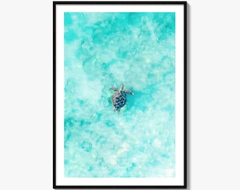 Sea Turtle Fine Art Photo Print, Aerial View, Ocean, Turquoise Water Poster