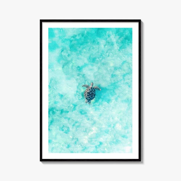 Sea Turtle Fine Art Photo Print, Aerial View, Ocean, Turquoise Water Poster