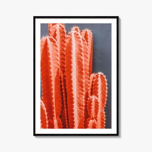 Kaktus Druck, Feine Kunst Farbe Fotografie Poster, Wüste Wand Kunst, Natur Dekor, Botanische Druck, Moderne Wohnkultur