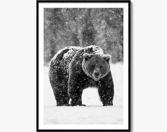 Photo d'art en noir et blanc d'un ours grizzly, affiche d'hiver, décoration finlandaise