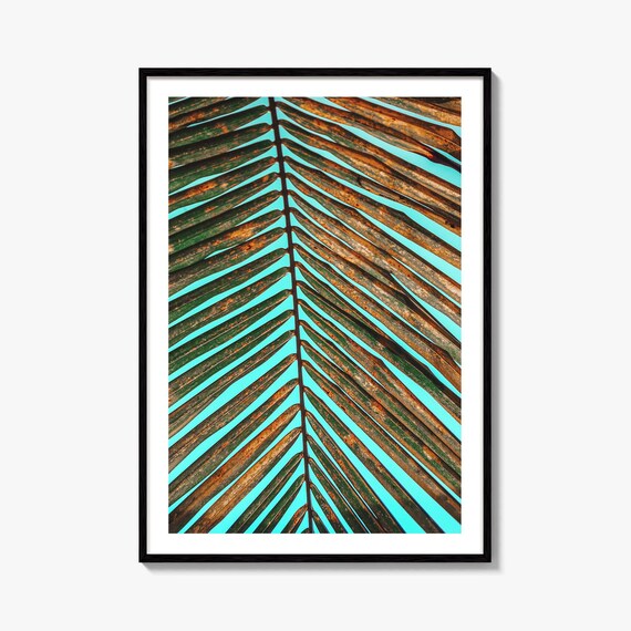 Palme Blatt Fine Art Fotodruck, Türkisblauer Himmel, Sommer Vibe, Tropisches Dekor