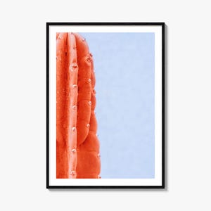 Kaktus Druck, Kunstfotografie Poster, Bunte Wanddekoration, Botanische Kunst, Nachhaltige Wohnkultur, Wüstenästhetik