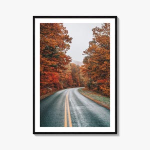 Fine Art Herbst Strasse Poster | Farbe Fotografie Poster | Herbst Landschaft Dekor, Natur Wand Kunst, Haus & Büro Dekor