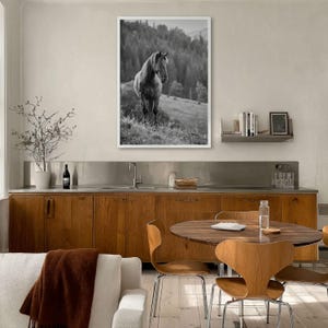 Horse Black and White Fine Art Photo Print, Carpathian Mountains, Fog, Equine Wall Decor image 13