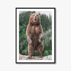 Stampa fotografica artistica di orso bruno, decorazione da parete con fauna selvatica della foresta grizzly