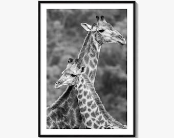 Giraffe Black and White Fine Art Photo Print, Mother With Baby, Wildlife Decor, Safari