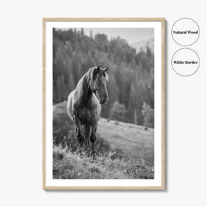 Horse Black and White Fine Art Photo Print, Carpathian Mountains, Fog, Equine Wall Decor image 7