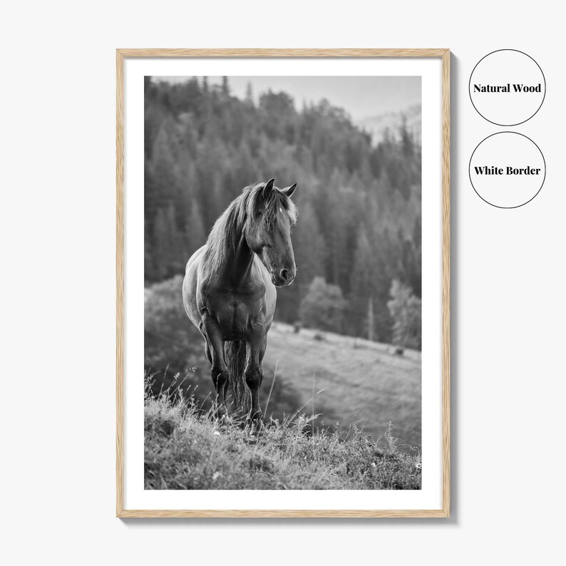 Horse Black and White Fine Art Photo Print, Carpathian Mountains, Fog, Equine Wall Decor image 7