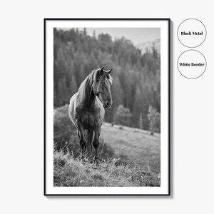Horse Black and White Fine Art Photo Print, Carpathian Mountains, Fog, Equine Wall Decor image 9